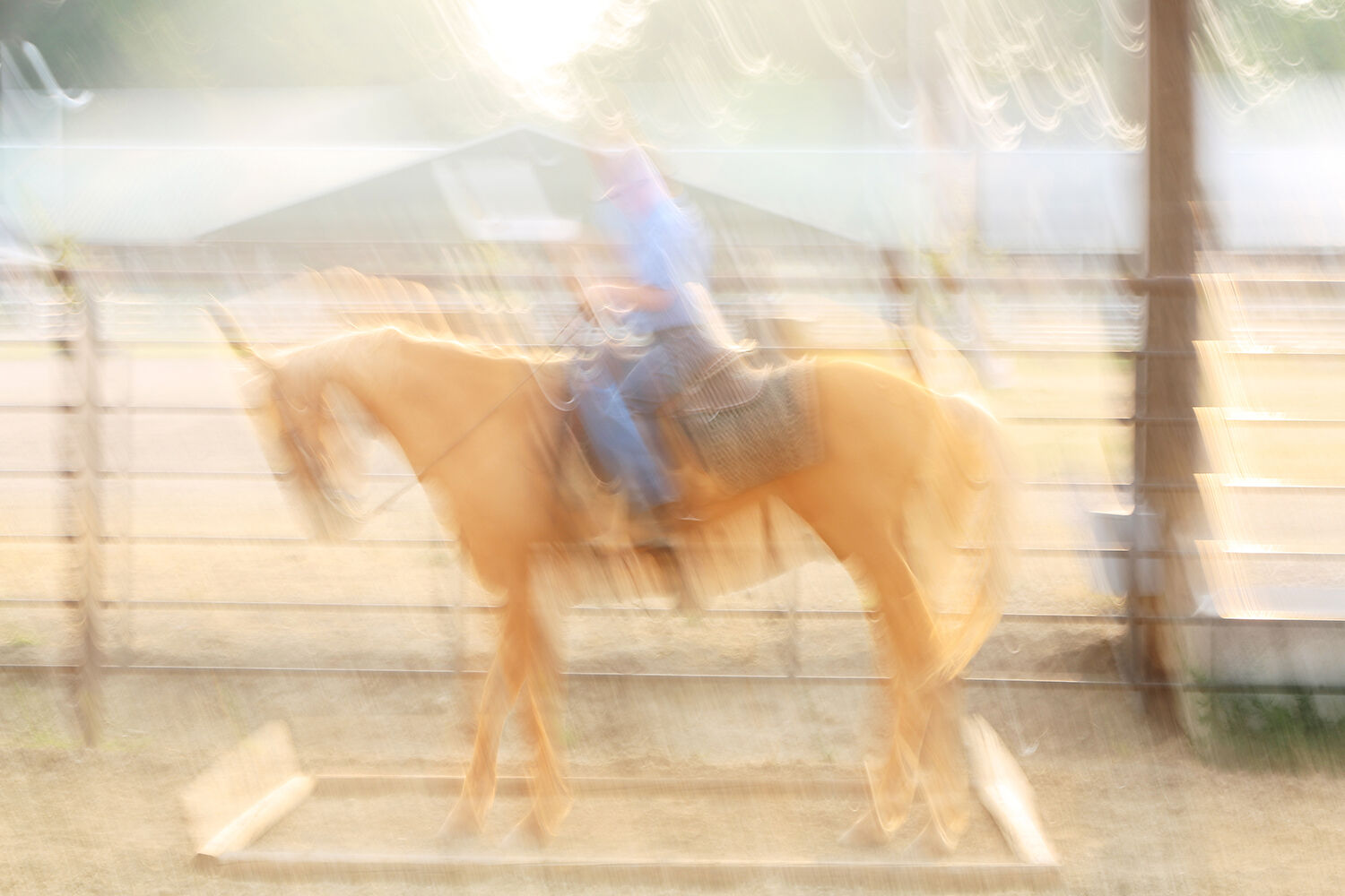 Eli Schiffer enters the box while practicing his trail class